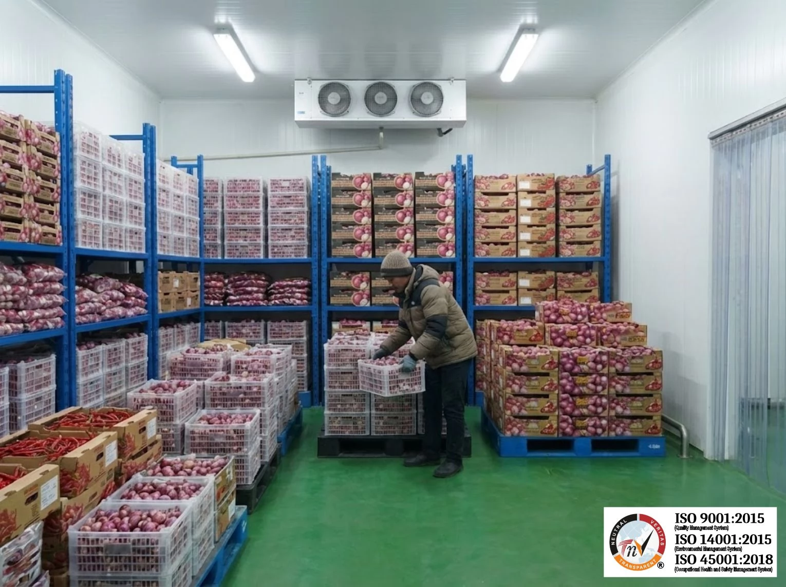 Pentingnya Cold Storage untuk Penyimpanan Cabe Merah Kering